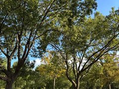 -东钱湖旅游度假区