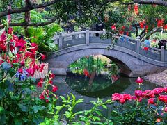 -人民公园(罗湖区)