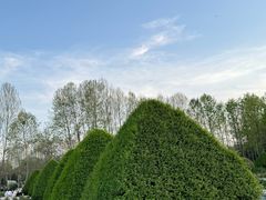 -洛阳市隋唐城遗址植物园