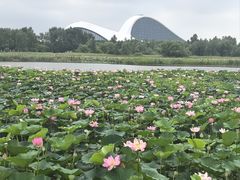 -哈尔滨大剧院