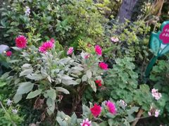 -阳光山水江湖菜馆(西山龙门店)