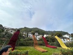 -新安江山水画廊风景区