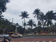 -万绿园