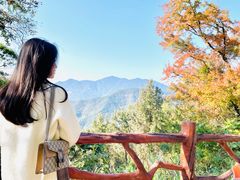 -广州市石门国家森林公园