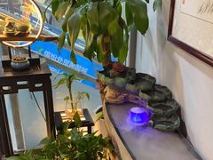 -净耳阁采耳文化体验馆(华强北店)