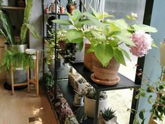-山下C5cafe(惠通时代广场店)