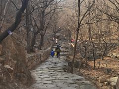 -北京鹫峰国家森林公园