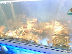 -大润发·停车场