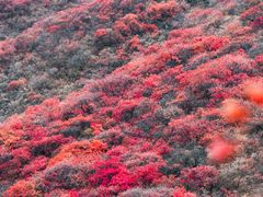 -水峪民俗村