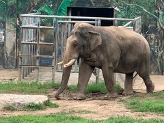 -西安秦岭野生动物园