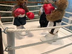 -济州岛泰迪熊博物馆