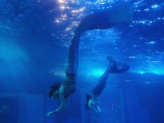 -太平洋海底世界