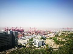 -洋山深水港