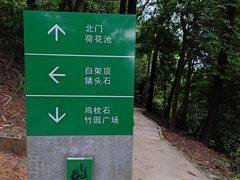 -火炉山森林公园