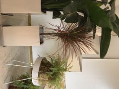 -花沐 FLOWER BATH(凤凰城店)