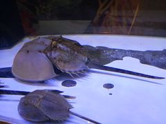 景点-重庆科技馆