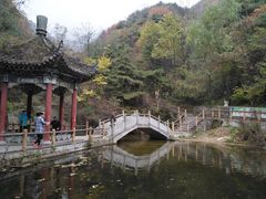 景观亭-王顺山国家森林公园