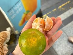 -西归浦每天偶来市场