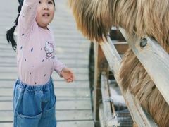 -北京鹿世界主题园