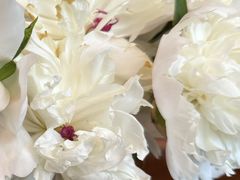 -COTTON CAFE(德信·中外公寓店)