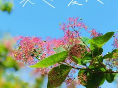 -周口店坡峰岭风景区