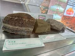-海口火山口国家地质公园