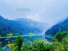 -武陵山森林公园