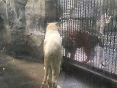 -南昌动物园
