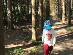 -上海长兴岛郊野公园