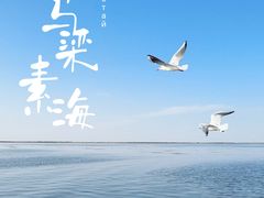 -乌梁素海景区
