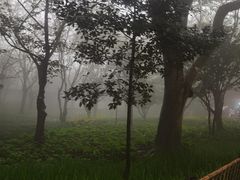 -普陀山雷迪森庄园