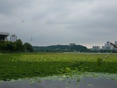 -月湖风景区