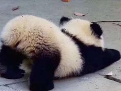 -嘿哟动霸CHUA·新潮玩运动娱乐中心·蹦床滑冰团建乐园