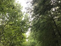 -滨湖塘西河公园