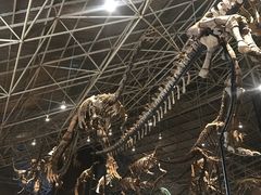 -世界恐龙谷景区