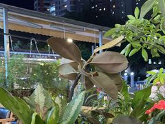 -木屋烧烤(白石洲店)