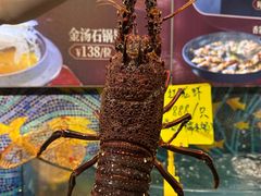 -珍之宝御品·寻味顺德(容桂渔人码头店)