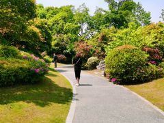 -桃花岛景观公园