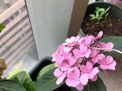 -帝京日语(春熙路旗舰校区)