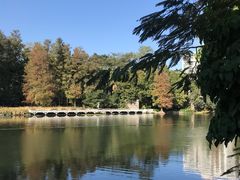 -荔枝公园(福田区)