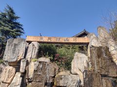 -东天目山风景区