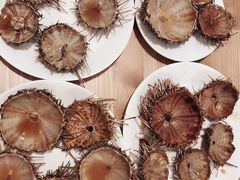 -海胆小馆(东北水饺·春柳店)