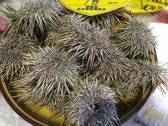 -赶海部落海鲜城(海阳路店)