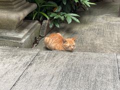 -广州兰圃