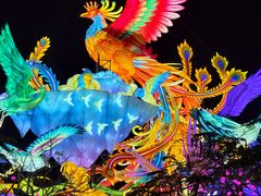 -厦门园林博览苑