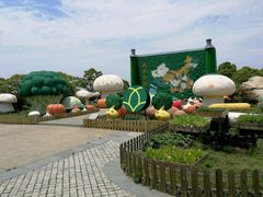 -上海都市菜园