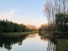 -黄海国家森林公园