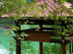 -广州白江湖森林公园