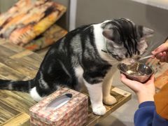 -小时光咖啡馆(开森度假森林店)