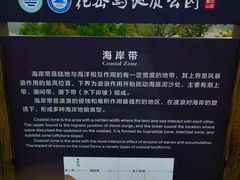 -花岙岛
